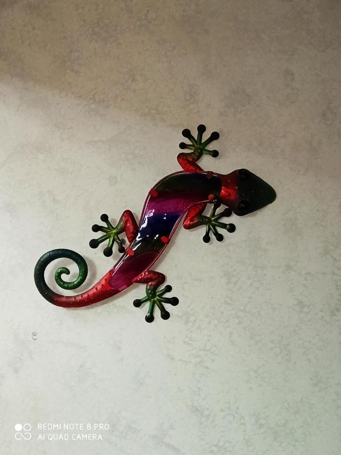 מלון Floirac  La Floiracaise מראה חיצוני תמונה